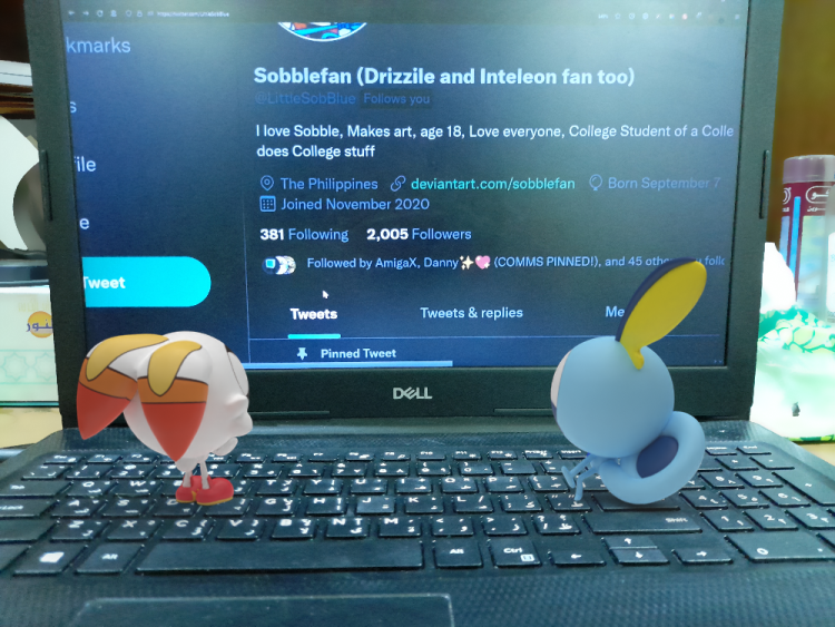 James (on the right) and Jordan are on the computer watching LittleSobBlue's follower count hit the thousands. For LittleSobBlue